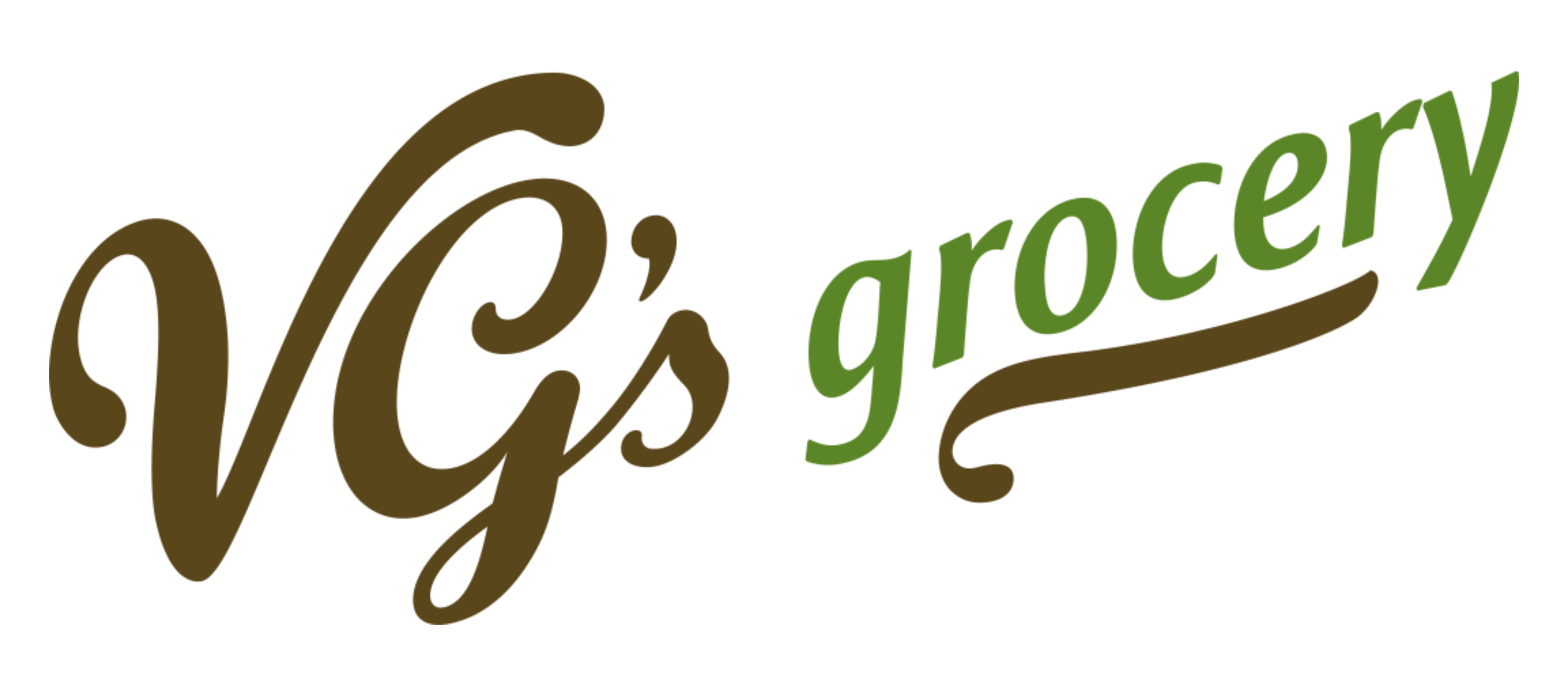 A theme logo of VG's Grocery