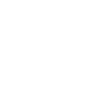 A theme logo of VG's Grocery